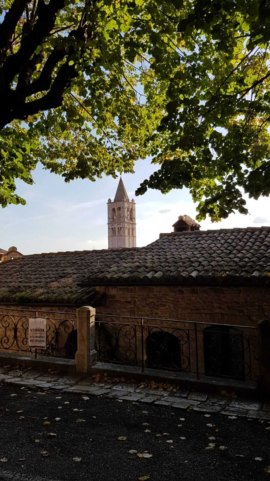 Assisi : strada di Assisi, sullo sfondo il campanile