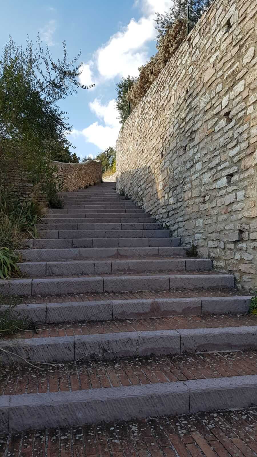 Assisi : scalinata
